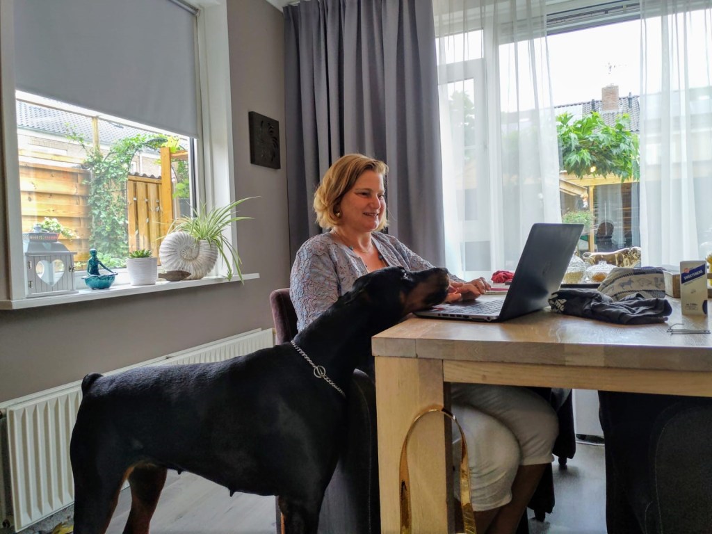 Working from home with my Dobermann Yara (R.I.P. 2024)