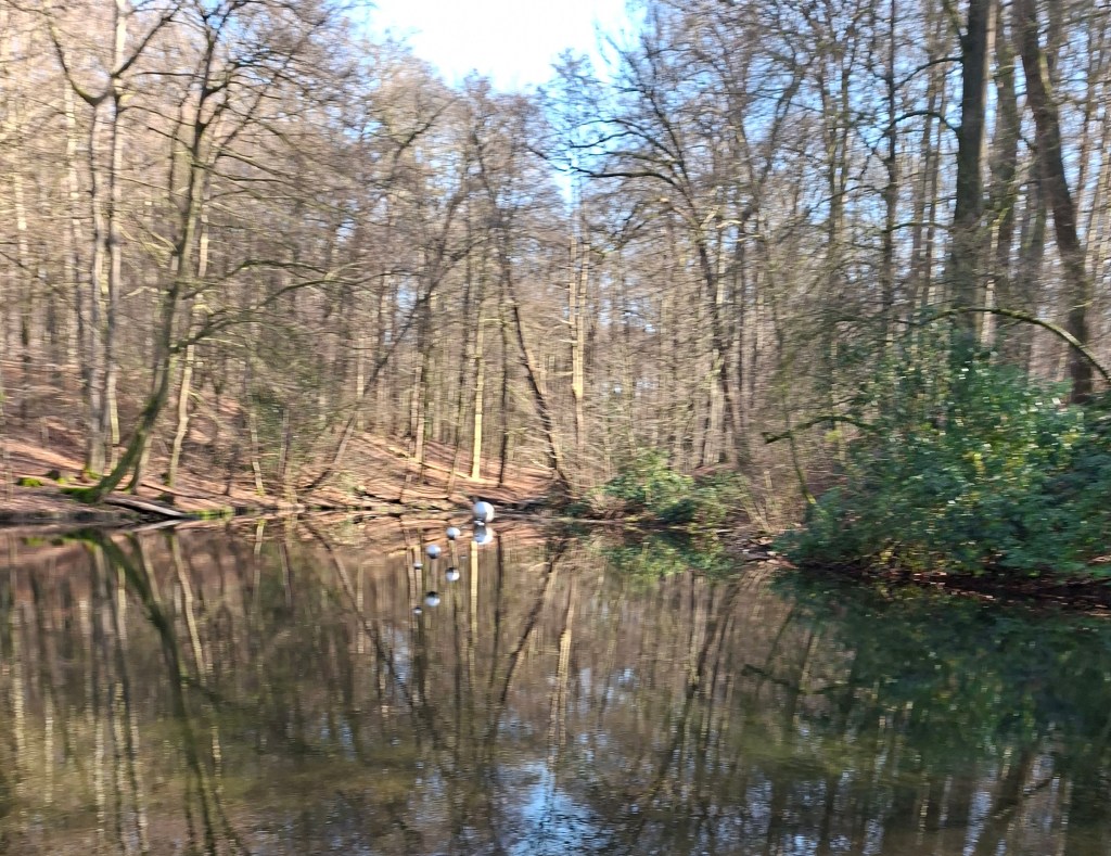 De eerste Walk & Talk Arnhem is een feit